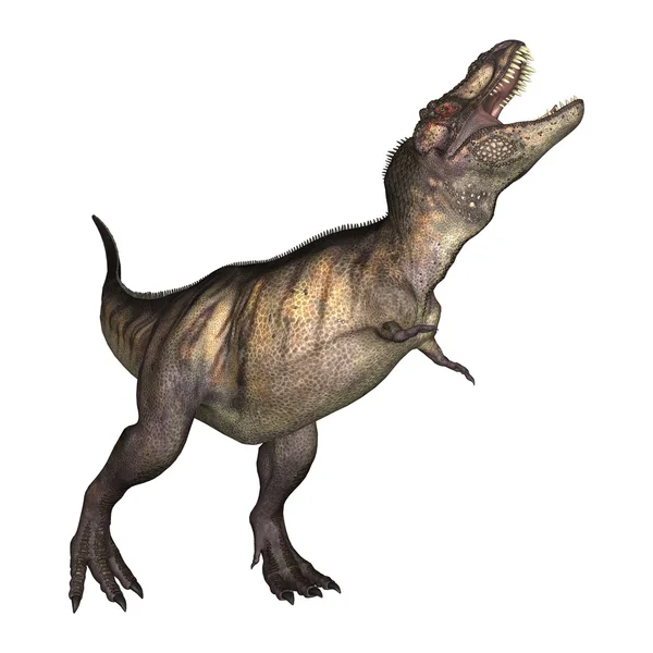 Illustration 3D Tyrannosaure sur Blanc — Photo