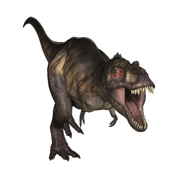 Ilustração 3D Tyrannosaurus em Branco — Fotografia de Stock