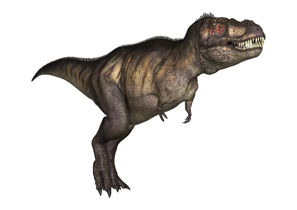 3D Illustration Tyrannosaurus on White — Stock Photo, Image