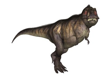 3D çizim Tyrannosaurus beyaz