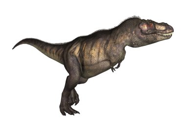 3D çizim Tyrannosaurus beyaz