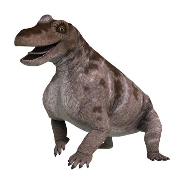 3D render dinozor Keratocephalus beyaz