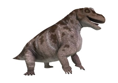3D render dinozor Keratocephalus beyaz