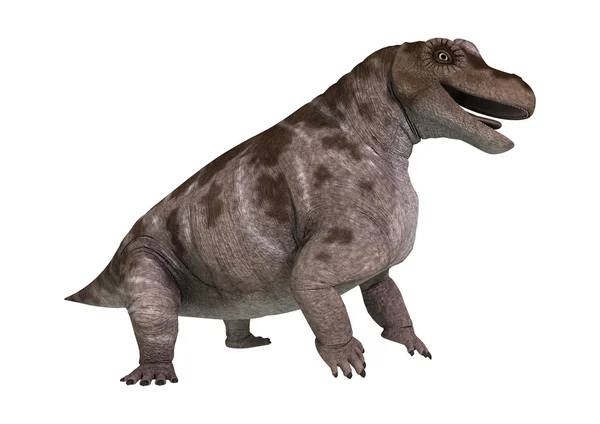 3D rendering dinoszaurusz Keratocephalus fehér — Stock Fotó