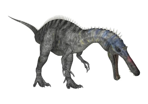 화이트에 3d 렌더링 공룡 Suchomimus — 스톡 사진