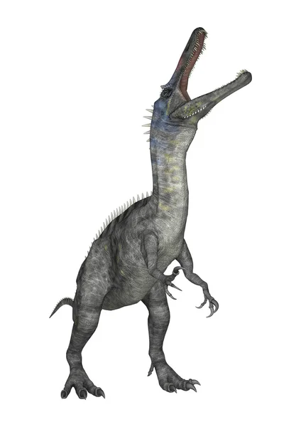 Dinosauro di rendering 3D Suchomimus su bianco — Foto Stock