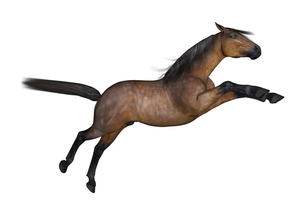 3D-rendering Bay Horse på vit — Stockfoto