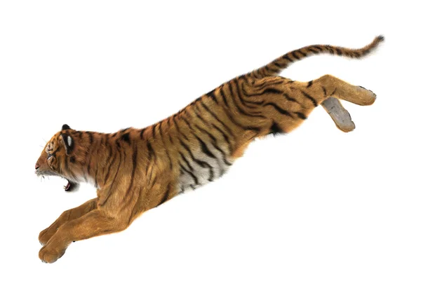 pics Un Tigre Saltando fotos de tigre saltando de stock tigre