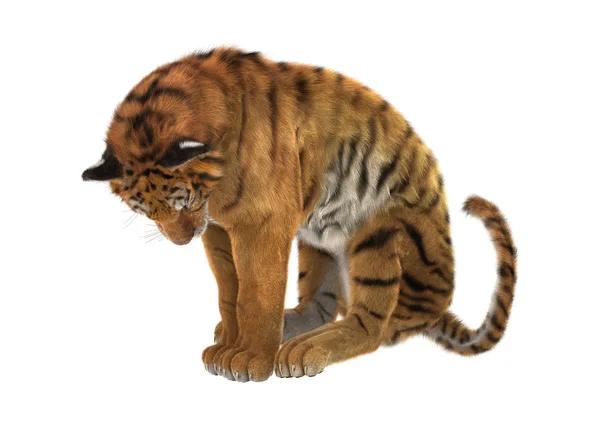 3D Rendering Tiger auf Weiß — Stockfoto