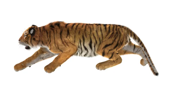 3D Rendering Tiger su bianco — Foto Stock