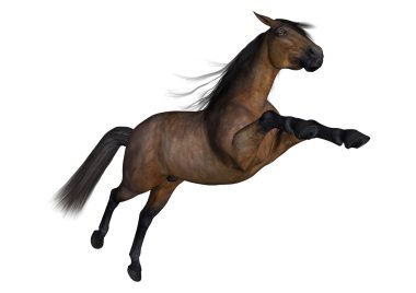 Beyaz 3D render Bay ata