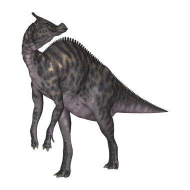 3D render dinozor Saurolophus beyaz