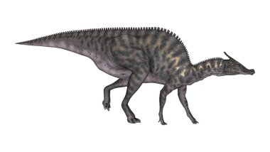 3D render dinozor Saurolophus beyaz