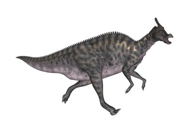 3D Rendering Dinosaur Saurolophus on White clipart