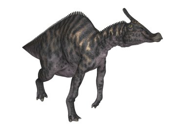 3D render dinozor Saurolophus beyaz