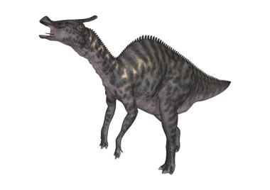 3D render dinozor Saurolophus beyaz