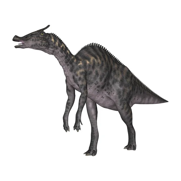 3D rendering dinoszaurusz Saurolophus, fehér — Stock Fotó