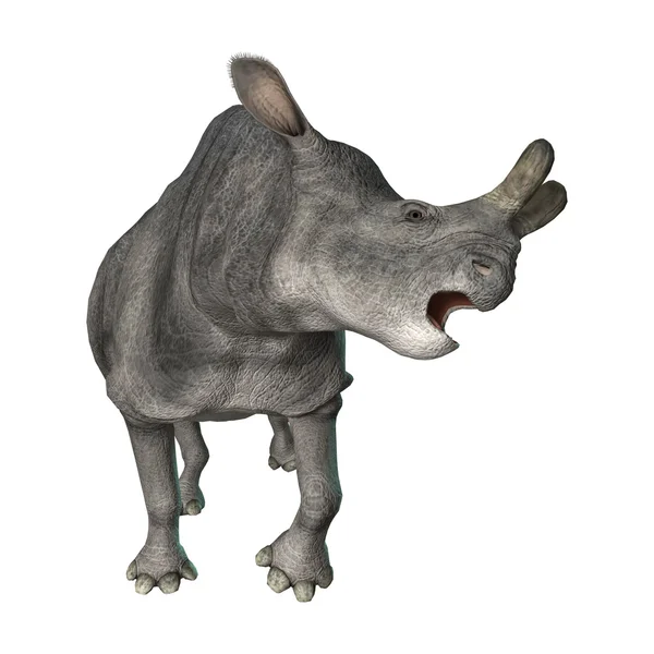 3D rendering Brontotherium op wit — Stockfoto