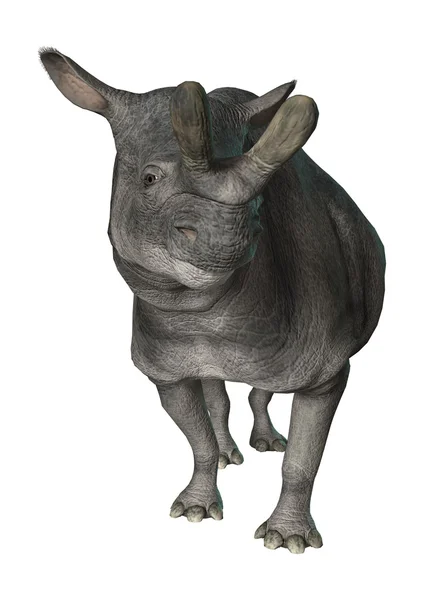 화이트에 3d 렌더링 Brontotherium — 스톡 사진