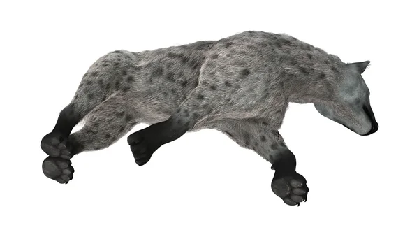 3D rendering Hyena på vit — Stockfoto