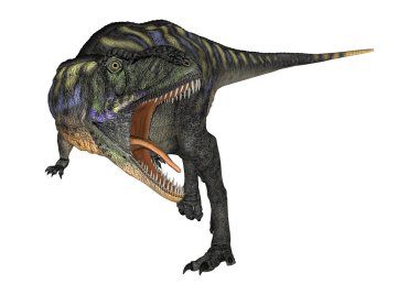 3D render dinozor Aucasaurus beyaz