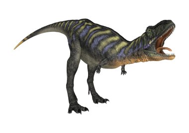 3D render dinozor Aucasaurus beyaz