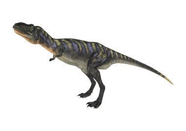 3D render dinozor Aucasaurus beyaz