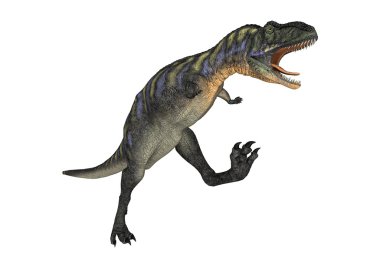3D render dinozor Aucasaurus beyaz