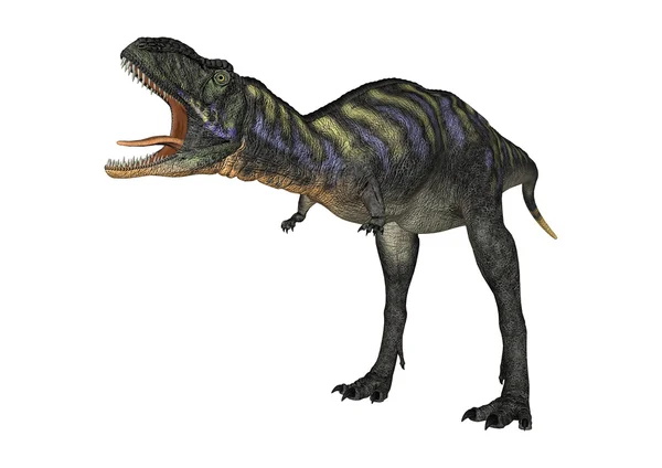 3D rendering dinoszaurusz Aucasaurus, fehér — Stock Fotó