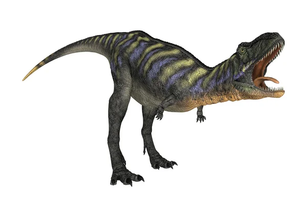 3D Rendering Dinosauro Aucasauro su Bianco — Foto Stock