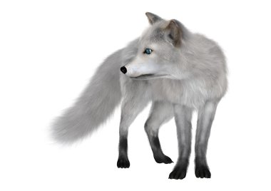 3D render beyaz kutup Fox'ta