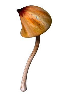 3D render sihirli mantar beyaz