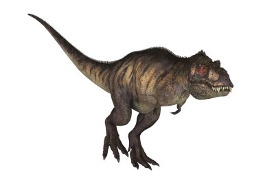 3D render dinozor Tyrannosaurus beyaz