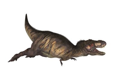 3D render dinozor Tyrannosaurus beyaz