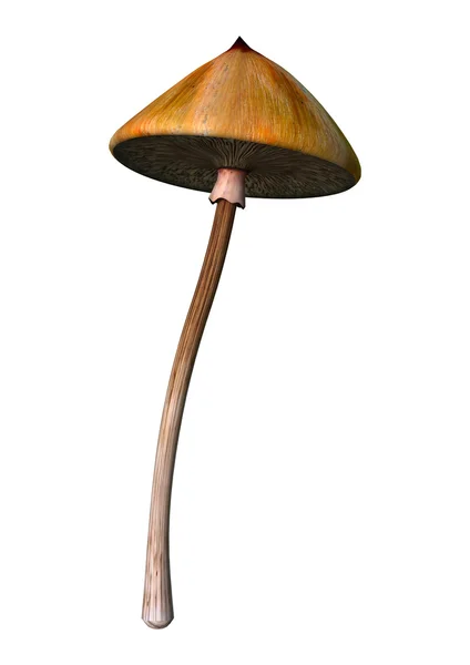 3d 渲染魔法蘑菇上白 — 图库照片