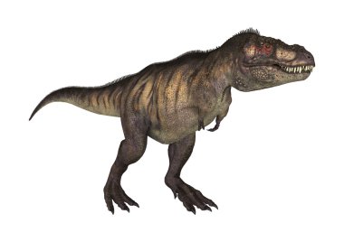3D render dinozor Tyrannosaurus beyaz