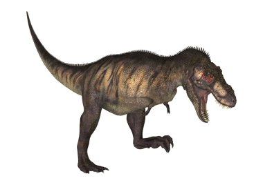 3D render dinozor Tyrannosaurus beyaz