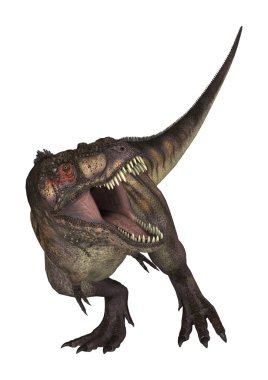 3D render dinozor Tyrannosaurus beyaz