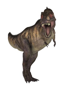 3D render dinozor Tyrannosaurus beyaz