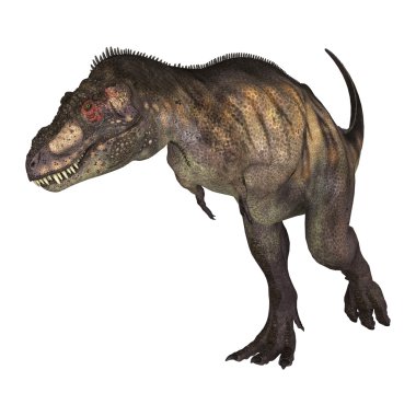 3D render dinozor Tyrannosaurus beyaz