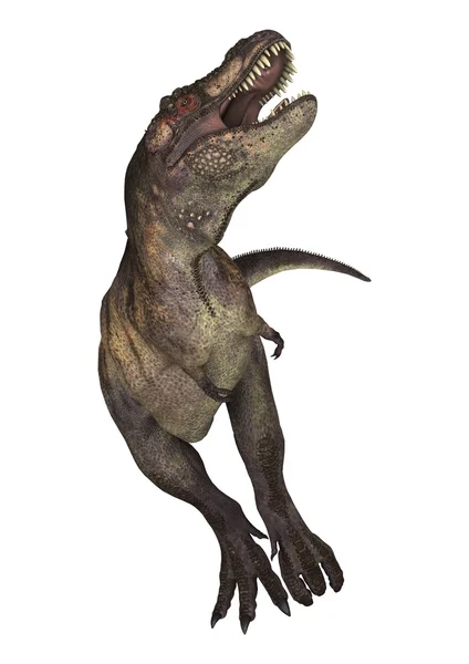 3D render dinozor Tyrannosaurus beyaz — Stok fotoğraf
