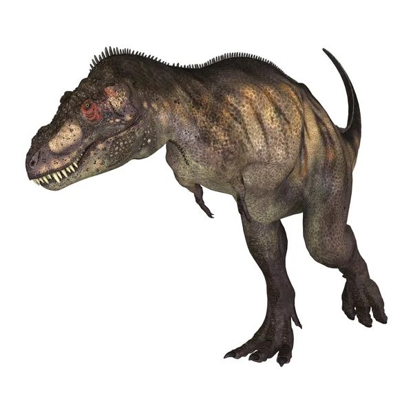 3D rendering dinoszaurusz Tyrannosaurus fehér — Stock Fotó