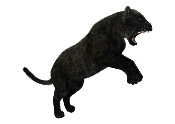 3D Rendering Black Panther on White — Stock Photo, Image