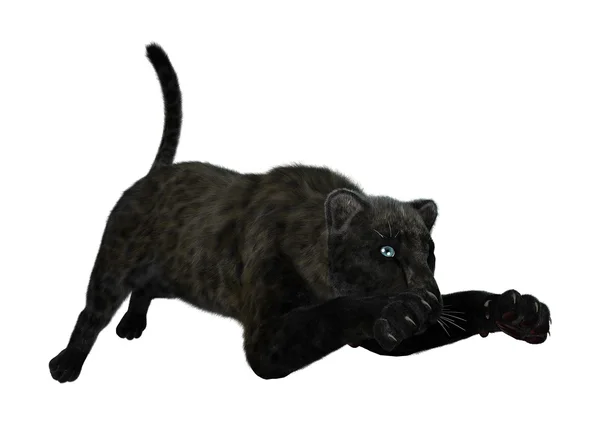 3D Rendering Black Panther auf Weiß — Stockfoto