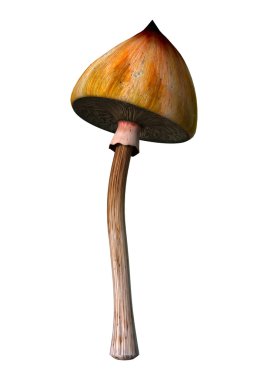 3D render sihirli mantar beyaz