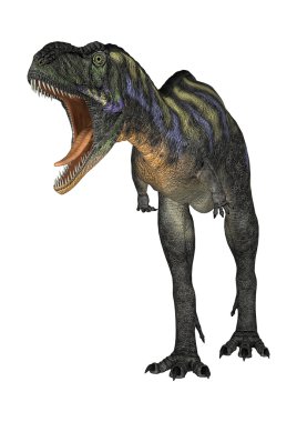 3D render dinozor Aucasaurus beyaz