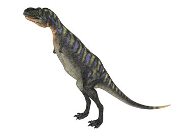3D render dinozor Aucasaurus beyaz