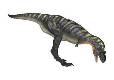 3D render dinozor Aucasaurus beyaz