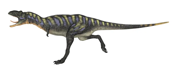 Dinossauro de renderização 3D Aucasaurus em branco — Fotografia de Stock