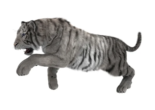 Rendu 3D tigre blanc sur blanc — Photo